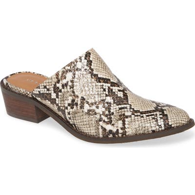 Very Volatile Bode Mule, Brown