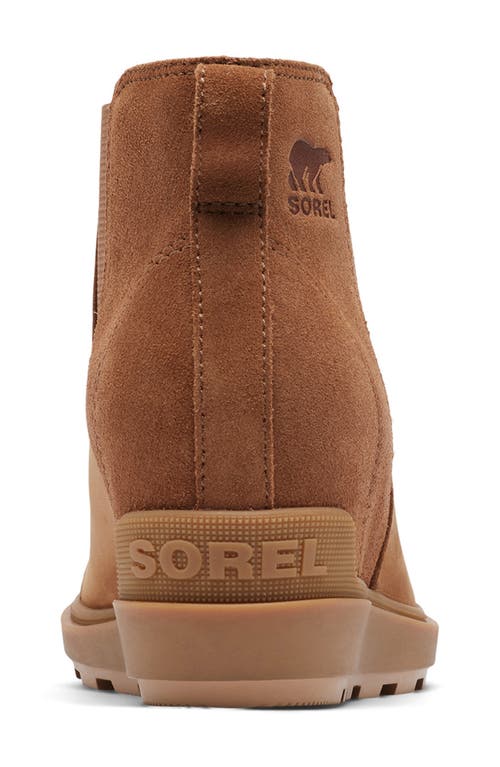 Shop Sorel Evie Ii Chelsea Bootie In Taffy/gum 2