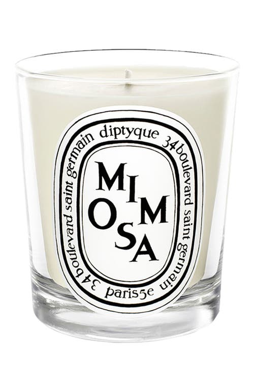 EAN 3700431400345 product image for Diptyque Mimosa Scented Candle at Nordstrom, Size 6.5 Oz | upcitemdb.com