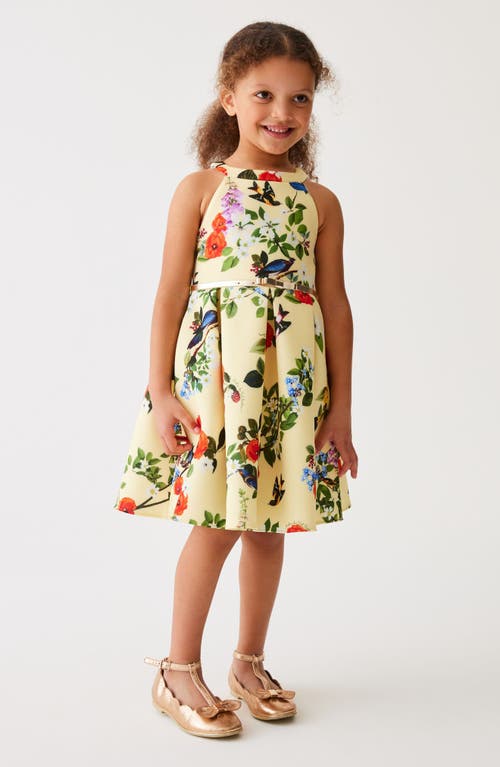 Shop Ted Baker Baker By  Kids' Floral Sleeveless Scuba Dress In Yellow