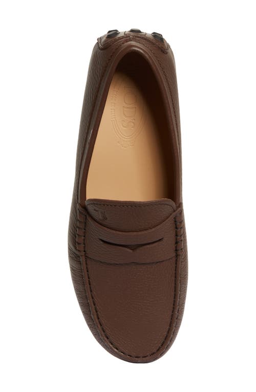 Shop Tod's Gommino Driving Shoe In Tabacco Scuro