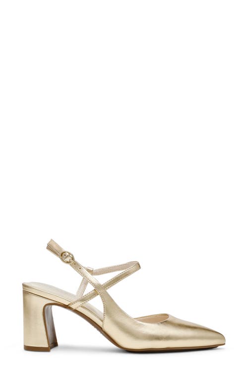 Shop Anne Klein Bliss Pointed Toe Pump In Light Gold