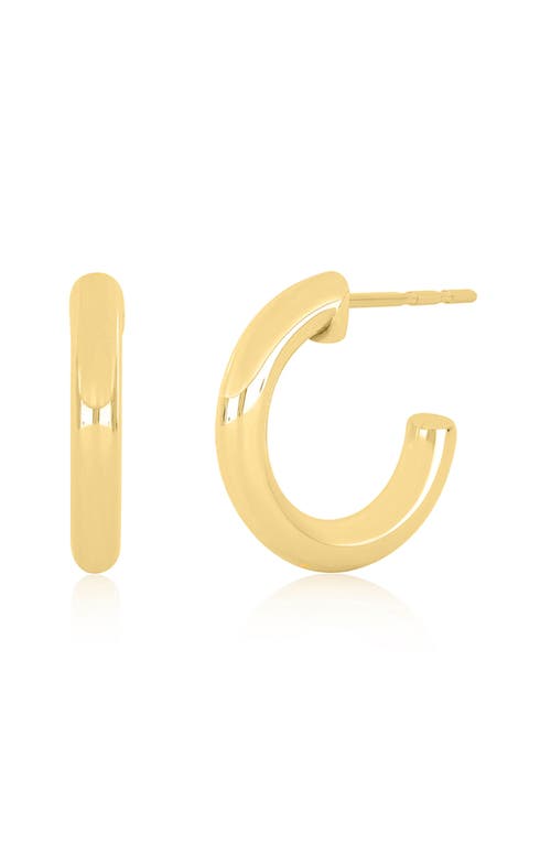 EF Collection Sasha Hoop Earrings in 14K Yellow Gold at Nordstrom