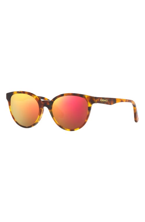 Shop Versace Kids' Phantos 46mm Small Round Sunglasses In Havana/dark Violet Red