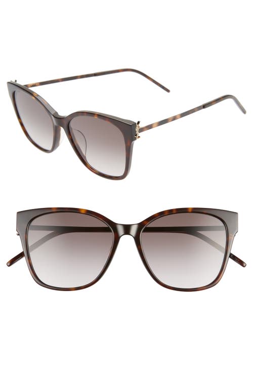 Saint Laurent 56mm Rectangular Sunglasses in Shiny Dark Havana/Grey Grad at Nordstrom