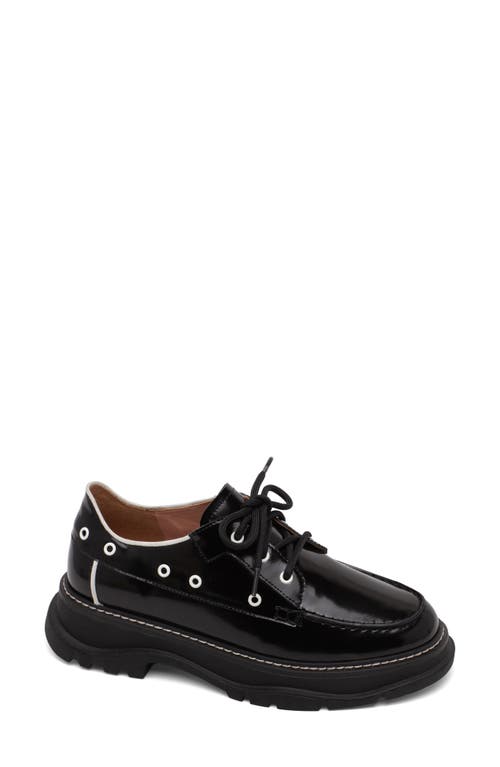 Linea Paolo Marcy Derby in Black