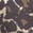 selected Splashy Leopard color
