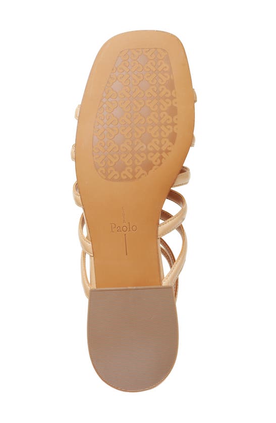 Shop Linea Paolo Lital Strappy Sandal In Desert