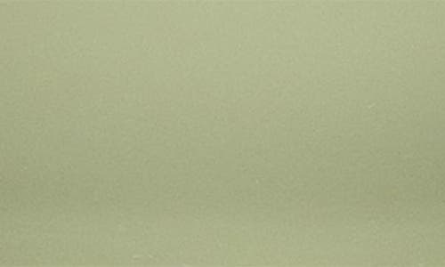 Corkcicle Palmpress Brewing Container In Sage Green
