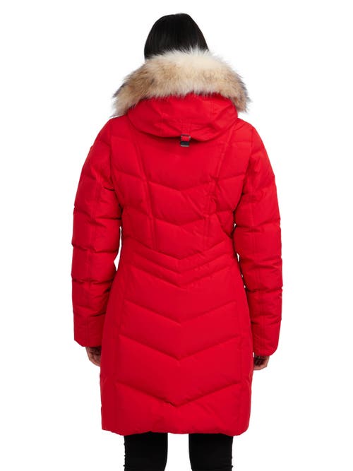 Pajar Women's January Down Chevron Puffer With Detachable Hood Fur In Current Red/crystal