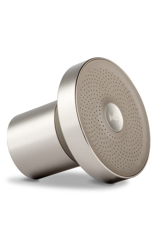 The Jolie Filtered Shower Head in Brushed Steel