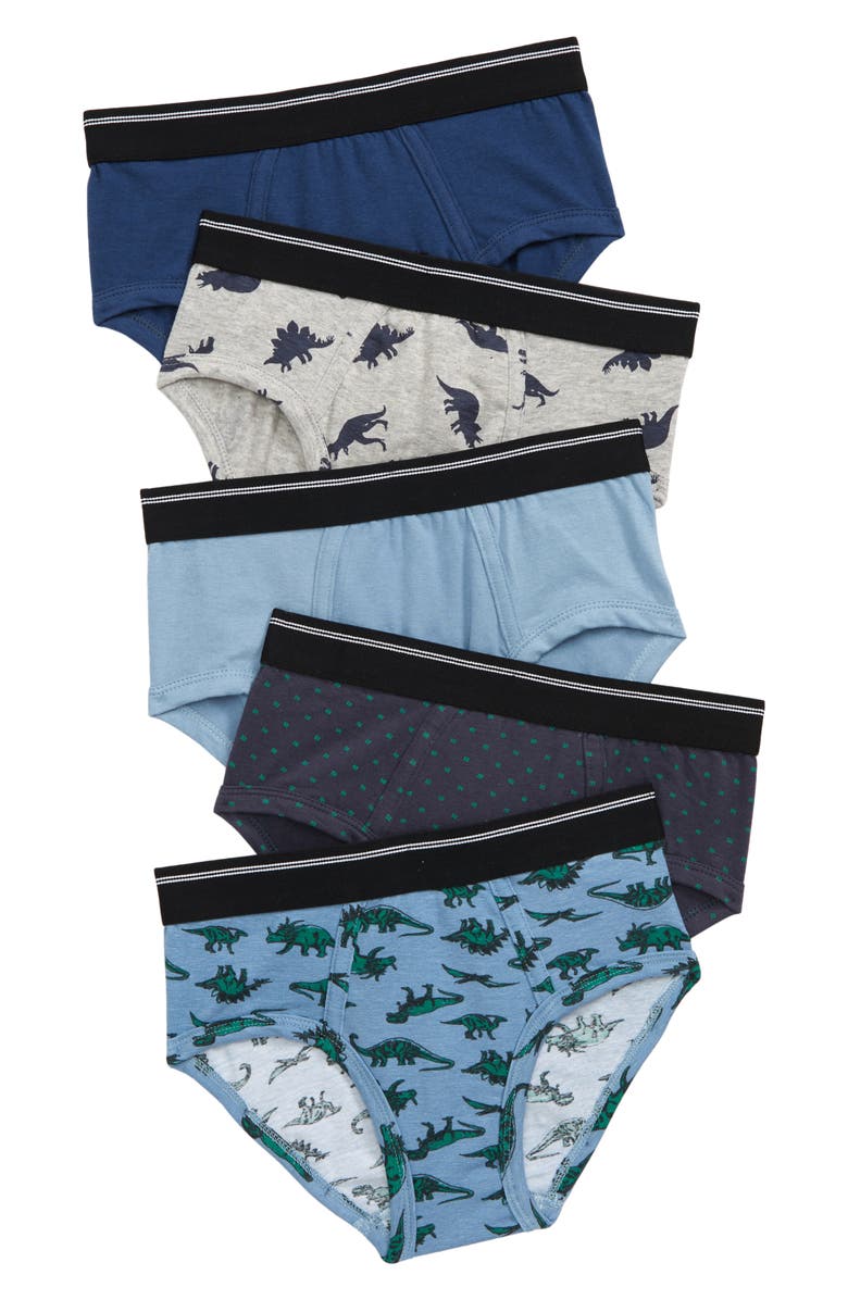 TUCKER + TATE Kids' Assorted 5-Pack Briefs, Main, color, SKETCH DINO PACK