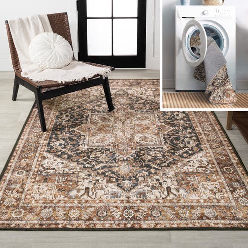 Jonathan Y Chapell Chenille Traditional Medallion Machine-washable Area Rug In Black/terra