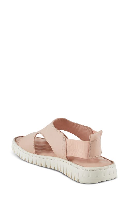 Shop Spring Step Abadessa Slingback Sandal In Blush