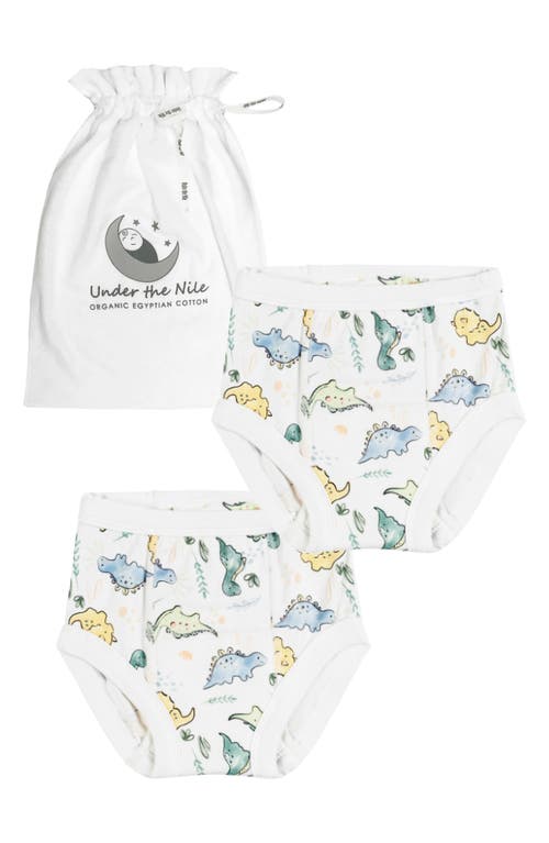 Under the Nile 2-Pack Organic Cotton Training Pants Set in Multi Dinosaur at Nordstrom