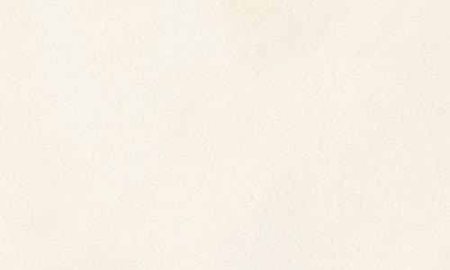 Opposuits Ivory Champaigne Dinner Jacket In White