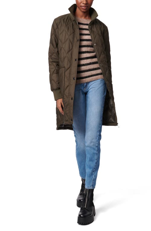 Shop Bernardo Rib Trim Quilted Liner Jacket In Olive