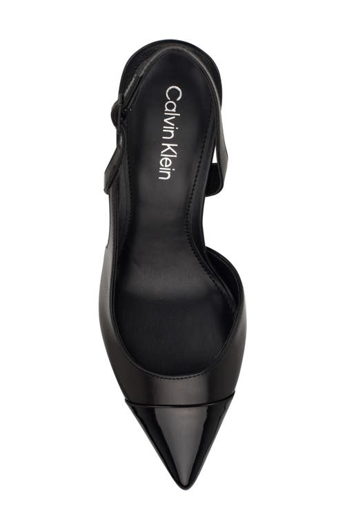 Calvin Klein Corinny Pointed Toe Pump In Black