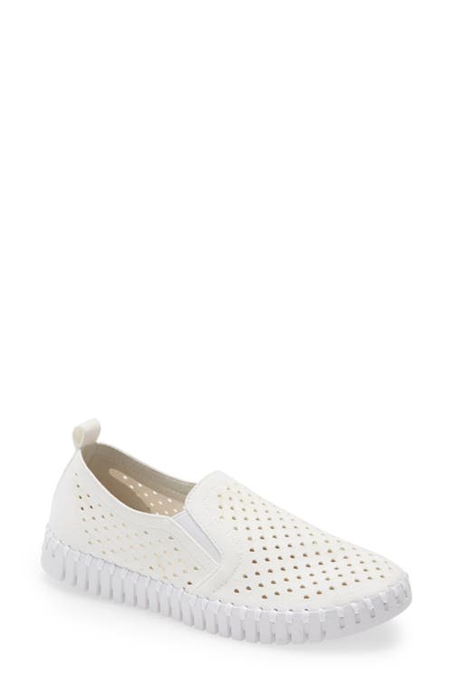 Ilse Jacobsen Tulip Slip-On Sneaker in White