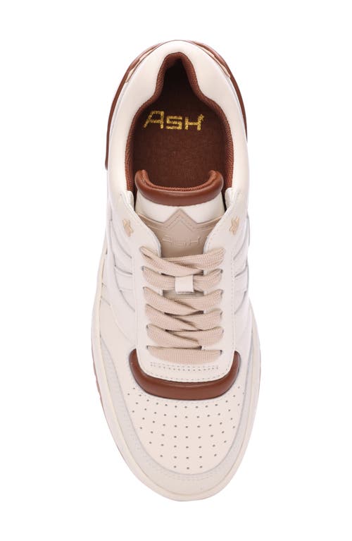 Ash Blake Panelled Leather Sneakers In Gardenia/amber