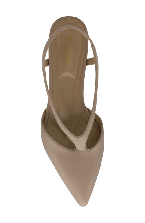 Charles By Charles David Addi Pointed Toe Kitten Heel Pump In Rugby Tan