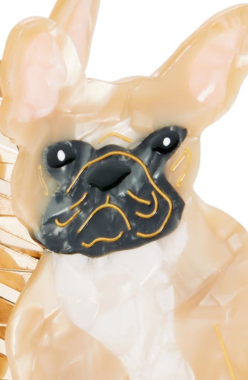 Solar Eclipse Frenchie Claw Hair Clip In Brown