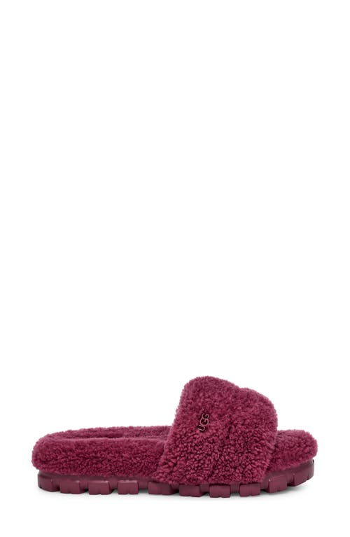 Shop Ugg(r) Cozetta Curly Genuine Shearling Slide Slipper In Cordial