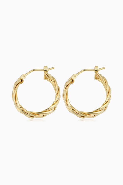 Oradina 14k Yellow Gold Caesar Midi Hoops In Yellow Gold