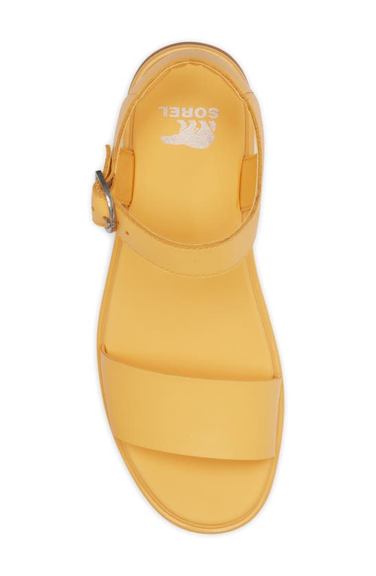 Shop Sorel Dayspring Ankle Strap Platform Sandal In Yellow Ray/ Yellow Ray