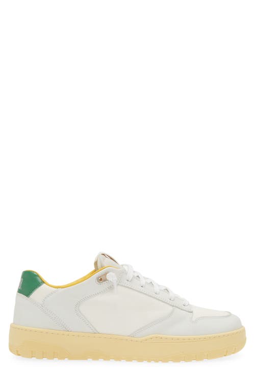 Shop P448 Mason Sneaker In White/grey