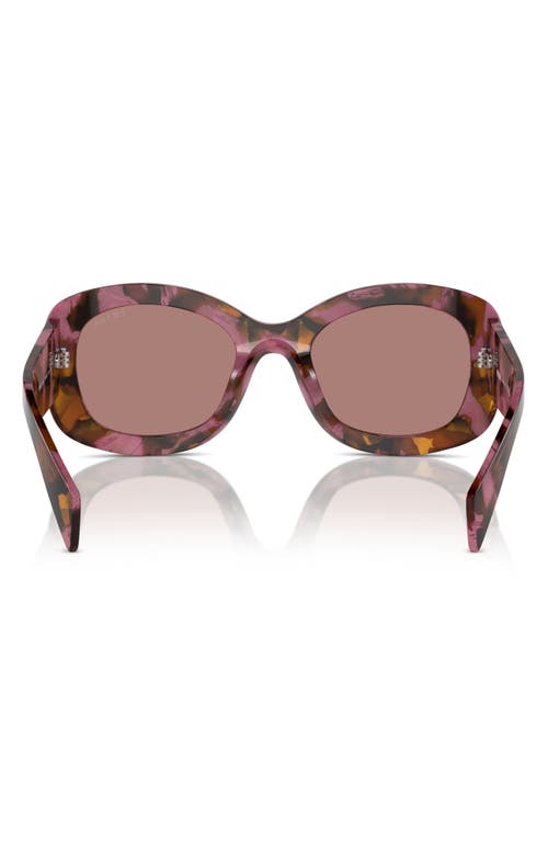 Prada 54mm Oval Polarized Sunglasses In Cognac Begonia/light Brown