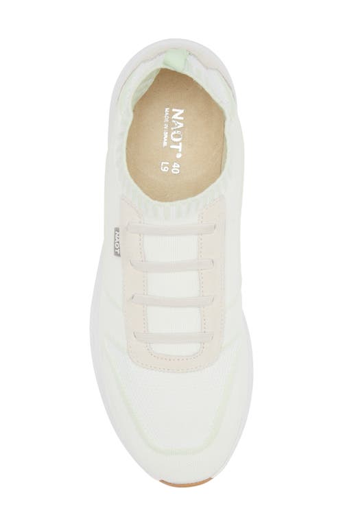 Naot Adonis Slip-on Sneaker In White/mint Knit