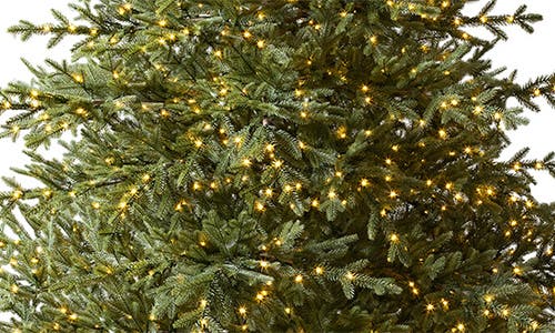 Balsam Hill Sugarland Spruce Tree In Led Clear Lights