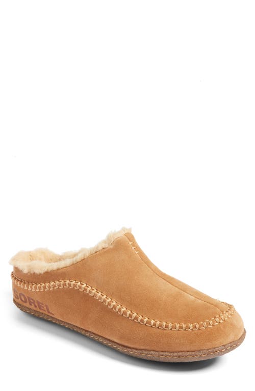 SOREL Falcon Ridge II Scuff Slipper in Camel Brown Curry at Nordstrom, Size 14