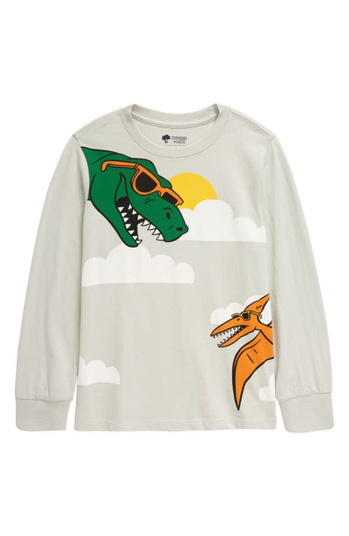 Tucker + Tate Kids' Dinosaur Long Sleeve Graphic T-Shirt in Grey Metal Dino Days