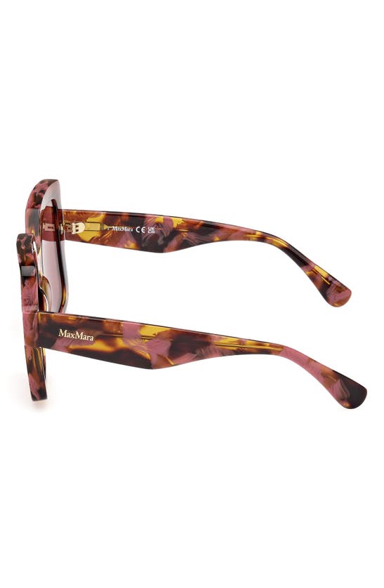 Shop Max Mara Ernest 56mm Square Sunglasses In Coloured Havana / Bordeaux