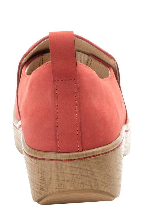 Alegria By Pg Lite Orygin Tulip Slip-on Shoe In Tulip