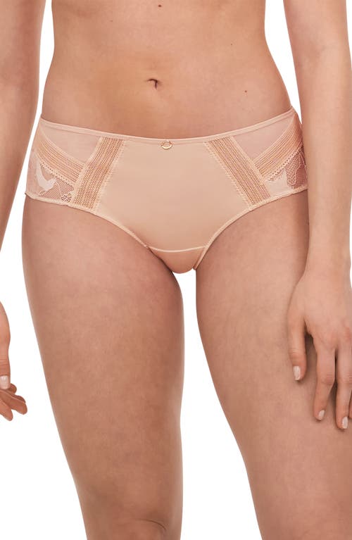 Chantelle Lingerie True Lace Hipster Briefs in Beige Blush-1N at Nordstrom, Size X-Small