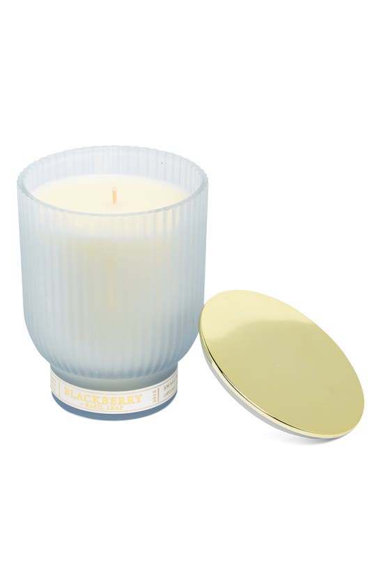Shop Portofino Candles Blackberry & Basil Leaf Goblet Candle In Periwinkle