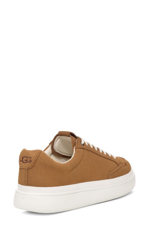 Shop Ugg(r) South Bay Low Sneaker In Chestnut