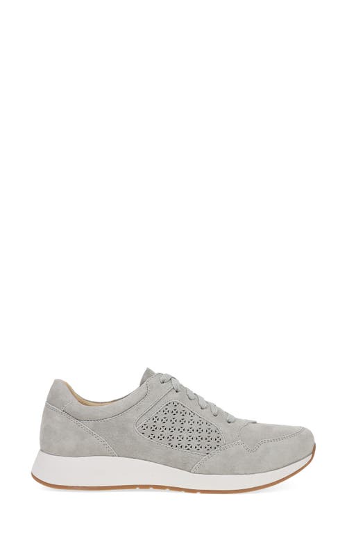 Shop Dansko Catie Sneaker In Grey Suede