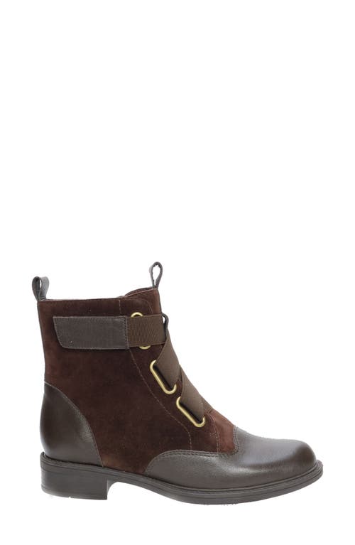 David Tate Club Water Resistant Bootie In Brown/brown Combo