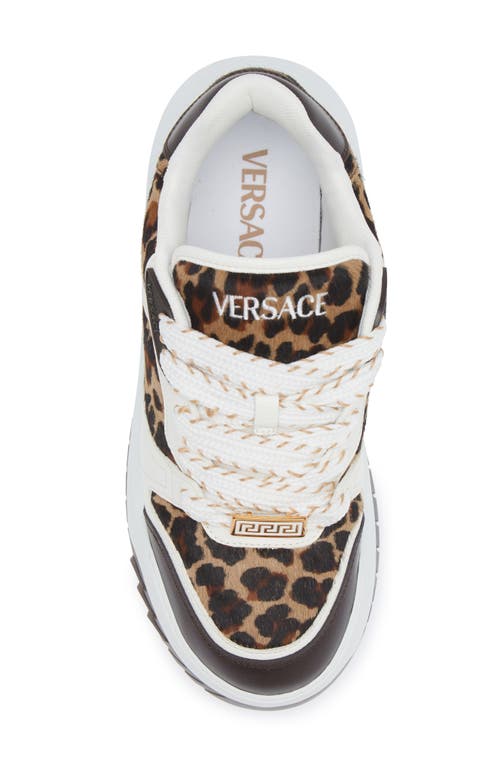 Shop Versace Odissea Genuine Calf Hair Sneaker In Ebano Ivory Gold