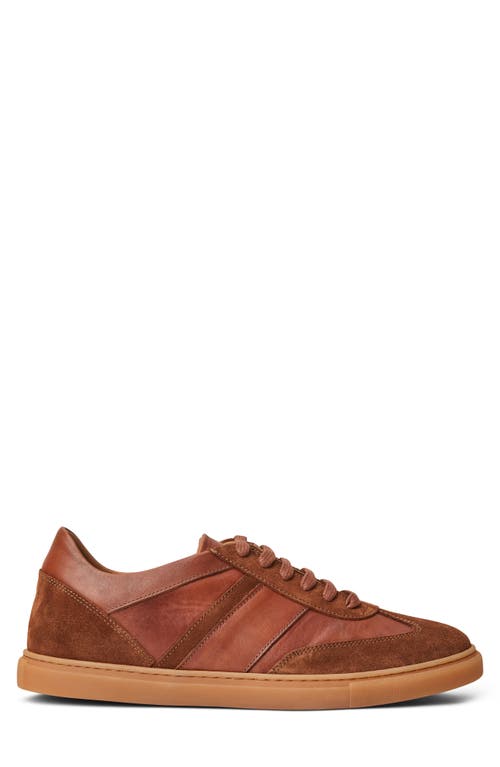 Shop Bruno Magli Baccio Sneaker In Cognac