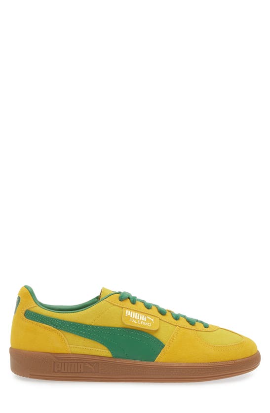 Shop Puma Palermo Sneaker In Pele Yellow-yellow-green