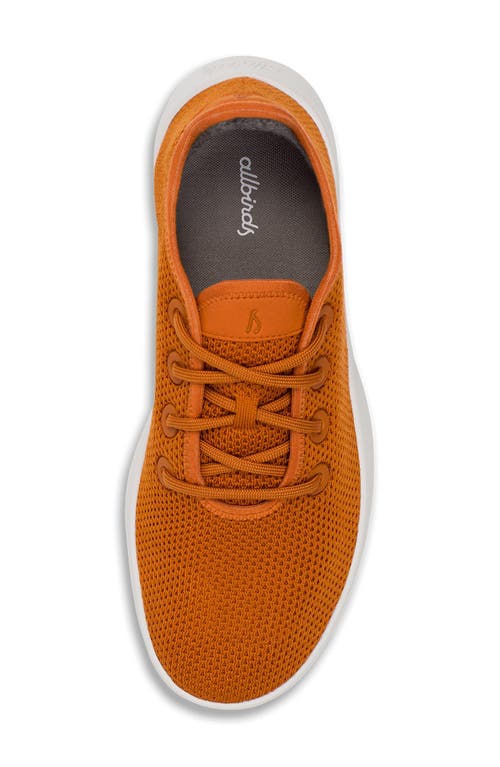 Shop Allbirds Tree Runner Sneaker In Honey Rust/blizzard