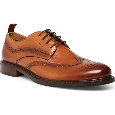Steve Madden Kindrid Wingtip, Brown