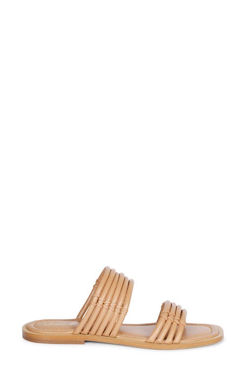 Saint G Zoya Slide Sandal In Beige