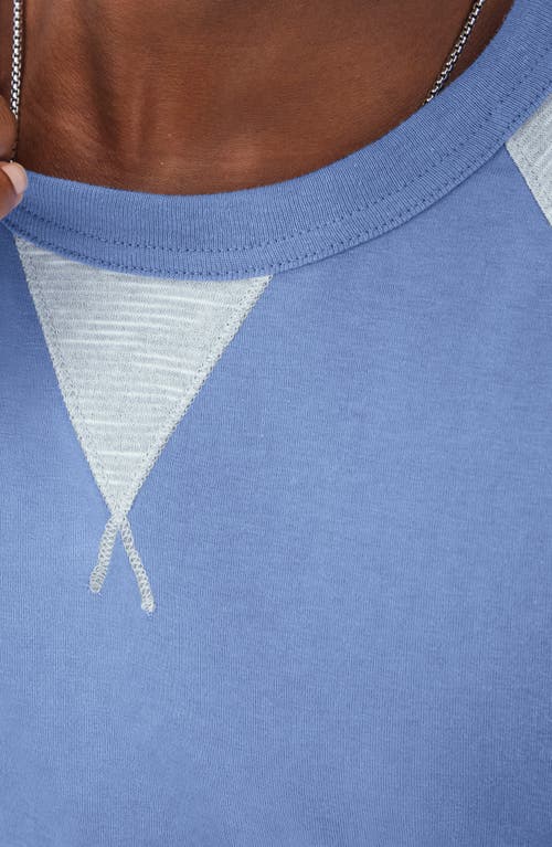 Shop Champion Stripe Raglan Sleeve T-shirt In Plaster Blue/nat/plstr Blue