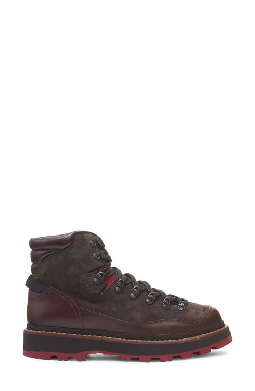 Moncler Peka Trek Hiking Boot In Peat